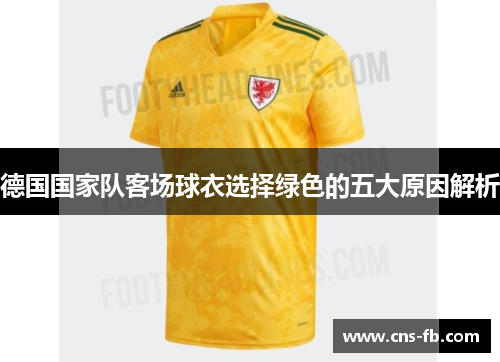 德国国家队客场球衣选择绿色的五大原因解析