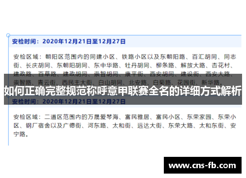 如何正确完整规范称呼意甲联赛全名的详细方式解析