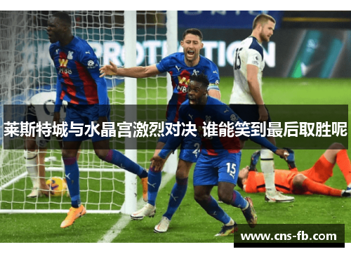 莱斯特城与水晶宫激烈对决 谁能笑到最后取胜呢