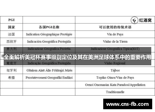 全面解析美冠杯赛事级别定位及其在美洲足球体系中的重要作用