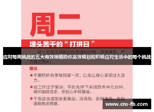 应对每周挑战的五大有效策略助你高效规划和积极应对生活中的每个挑战