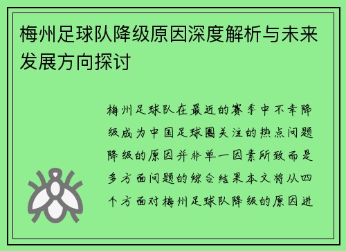 梅州足球队降级原因深度解析与未来发展方向探讨