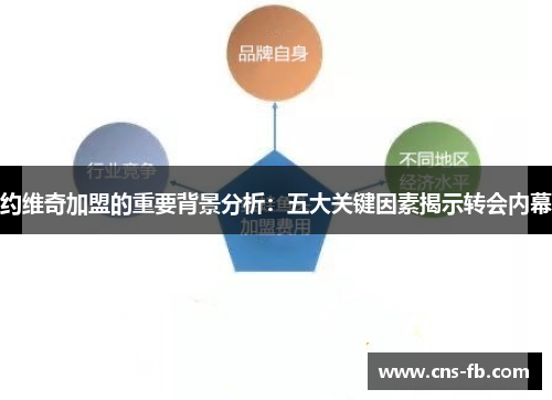 约维奇加盟的重要背景分析：五大关键因素揭示转会内幕